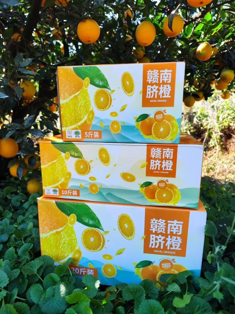赣南脐橙，承接社区团购，单位，企业，公司，个人福利订单。