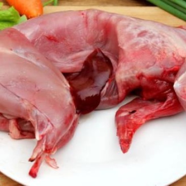 兔肉100只