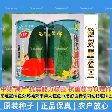 懒汉重茬王西瓜种子抗病能力强抗重茬可连作西瓜种子肉色大红