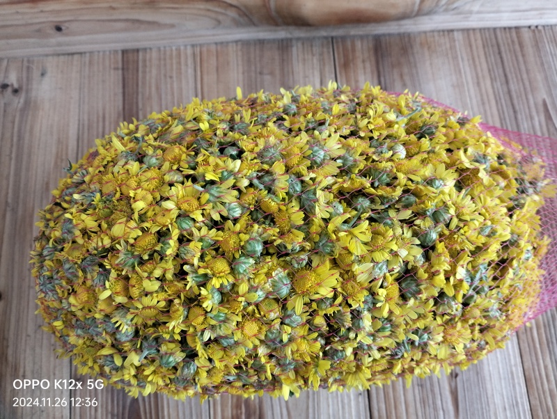 手工采摘微炒晒干野菊花