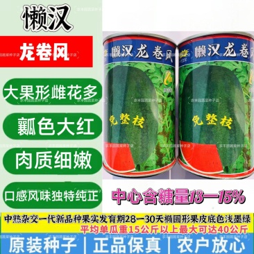 懒汉龙卷风西瓜种子大果形雌花多易坐果西瓜种子瓤色大红肉质