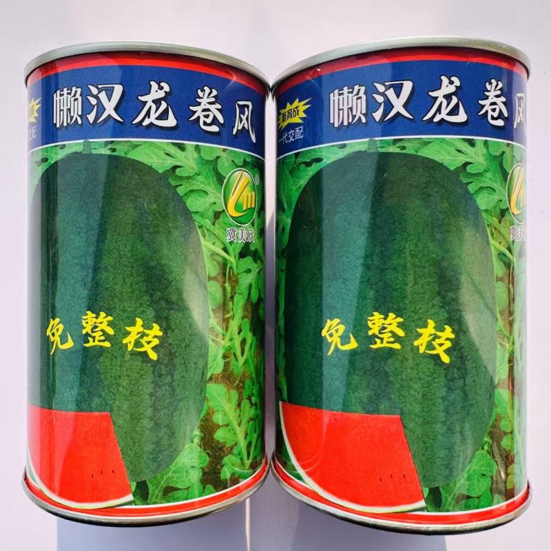 懒汉龙卷风西瓜种子大果形雌花多易坐果西瓜种子瓤色大红肉质