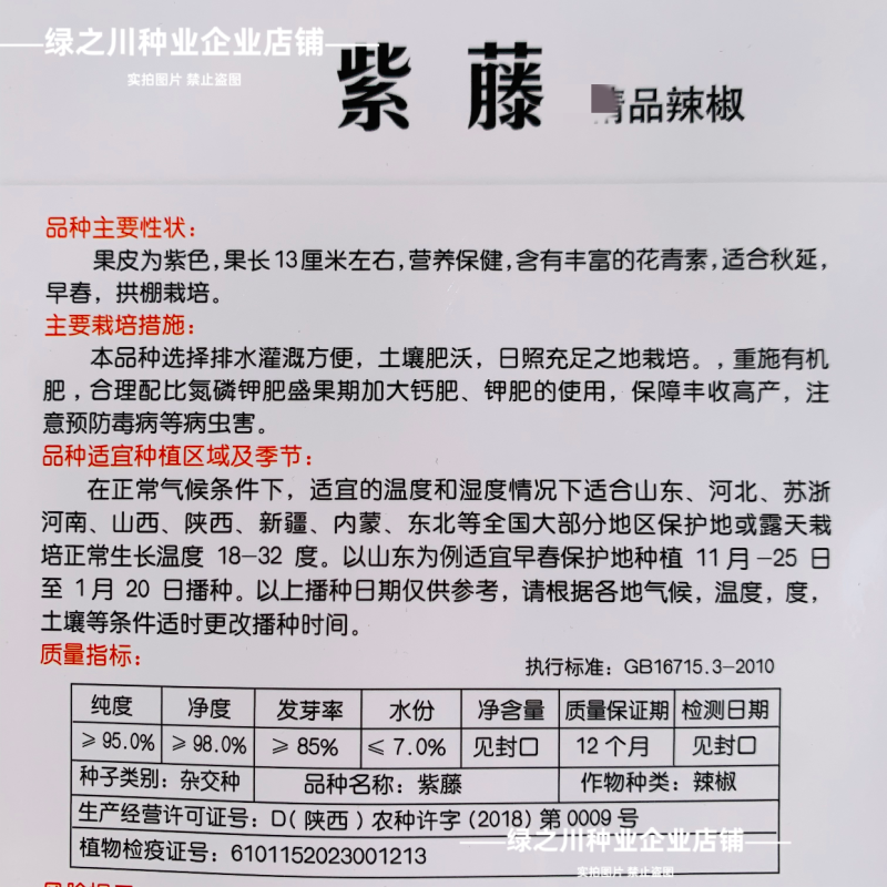 紫藤紫色辣椒种子丰富花青素紫色螺丝美人辣椒种籽香辣