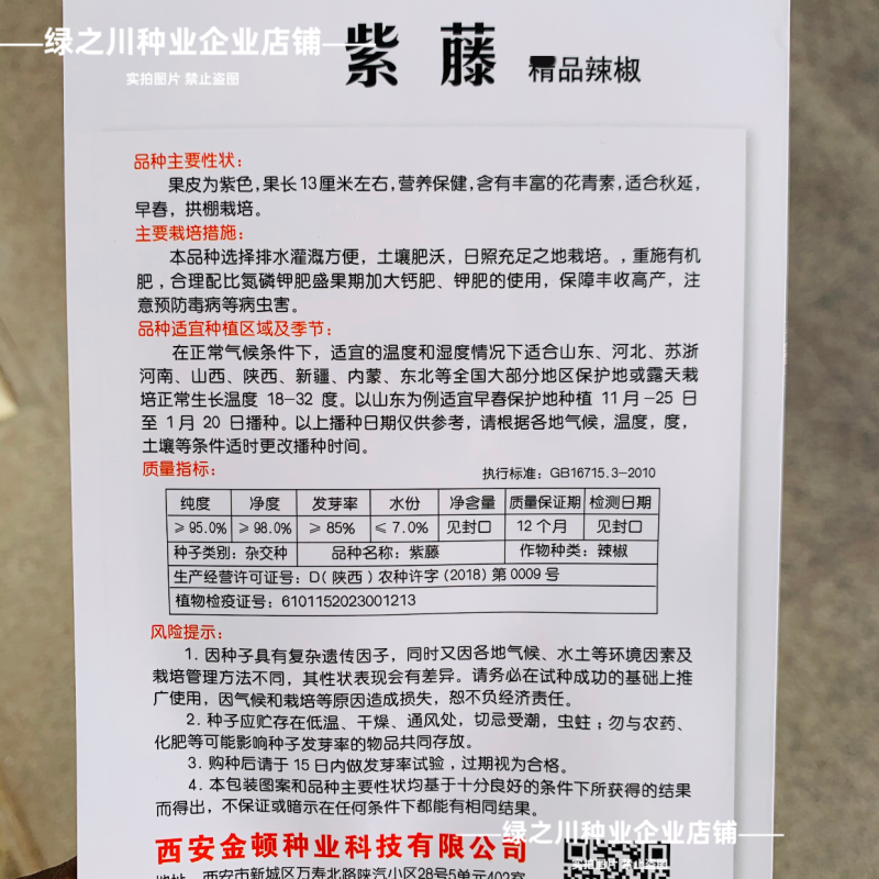 紫藤紫色辣椒种子丰富花青素紫色螺丝美人辣椒种籽香辣