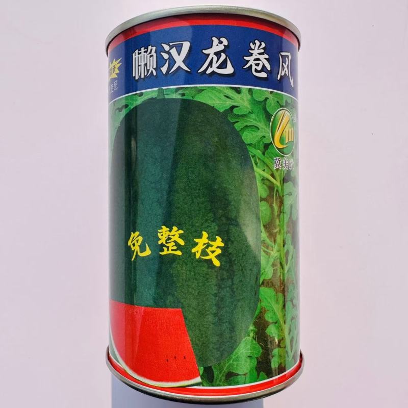 懒汉龙卷风西瓜种子大果形雌花多易坐果西瓜种子瓤色大红肉质