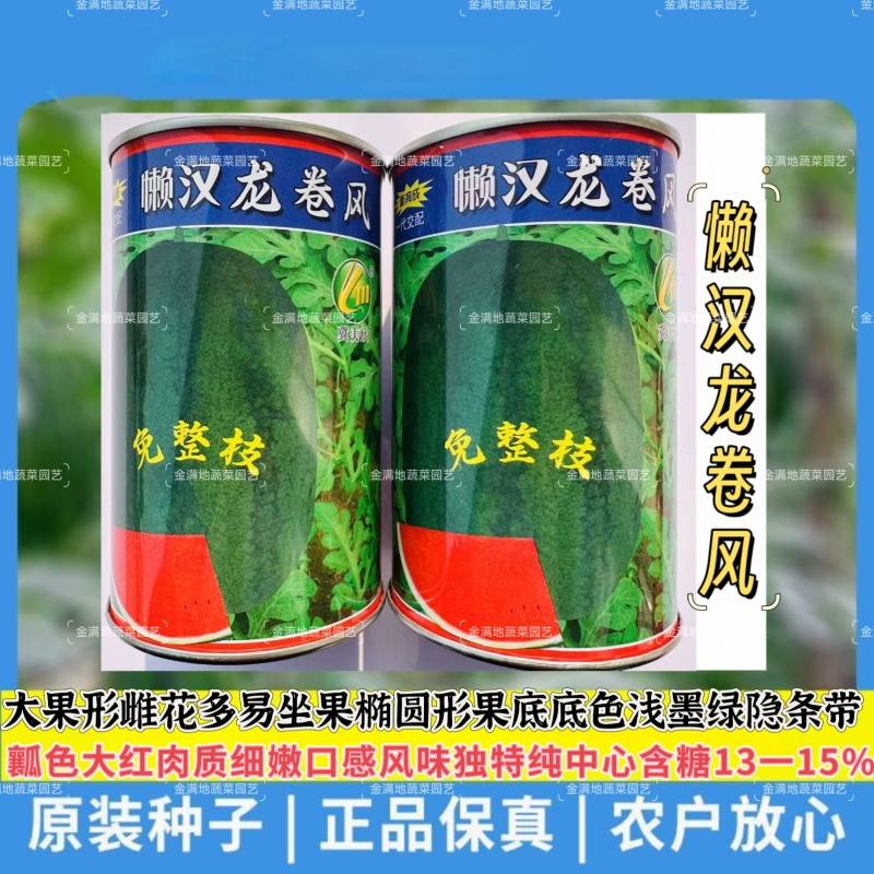 懒汉龙卷风西瓜种子大果形雌花多易坐果西瓜种子瓤色大红肉质