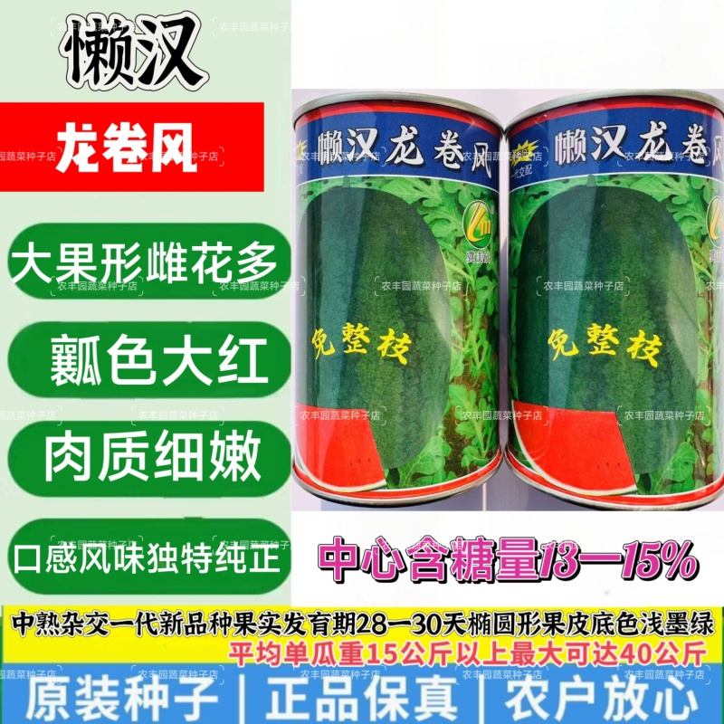 懒汉龙卷风西瓜种子大果形雌花多易坐果西瓜种子瓤色大红肉质