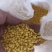 山东临沂直发海法中微量元素水溶肥通用作物缺素速补提质增产