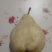 佛手梨，果肉绵密清香