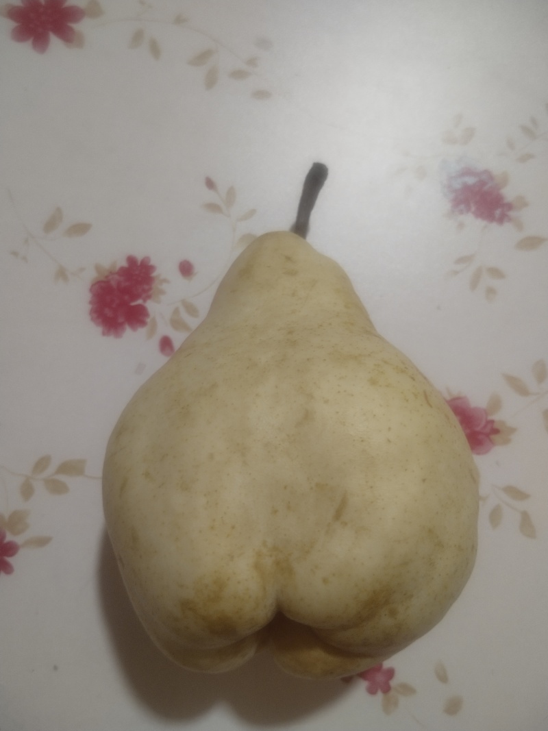 佛手梨，果肉绵密清香