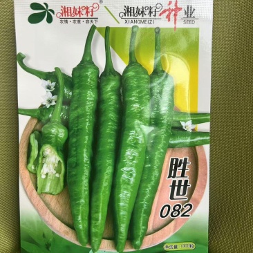 胜世082软皮羊角椒种子，香辣