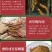 优质断虫草，直接对接牧民收虫草，一手货源，品质保证。