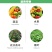 根宝含氨基酸水溶肥料促根发根根系发达促进成