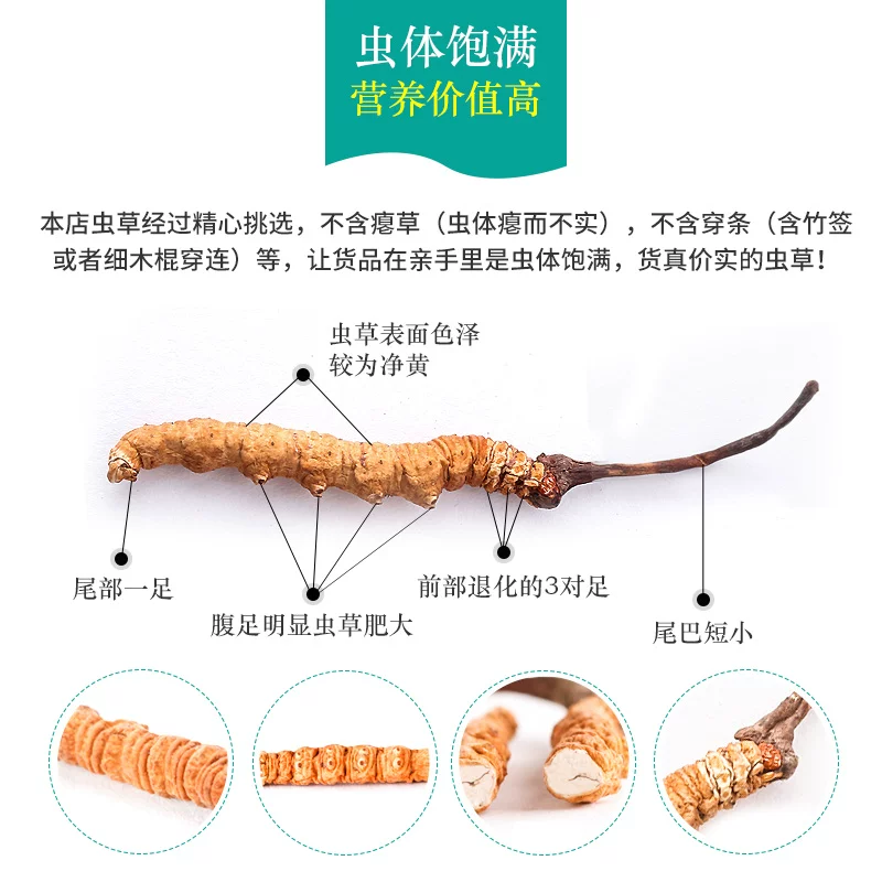 优质断虫草，直接对接牧民收虫草，一手货源，品质保证。