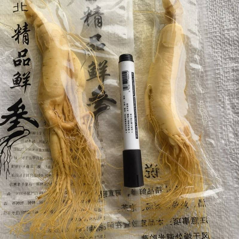 人参，鲜长白山人参，90克以上关书药业批发中药