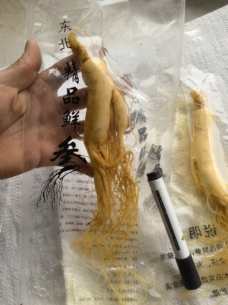 人参，鲜长白山人参，90克以上关书药业批发中药