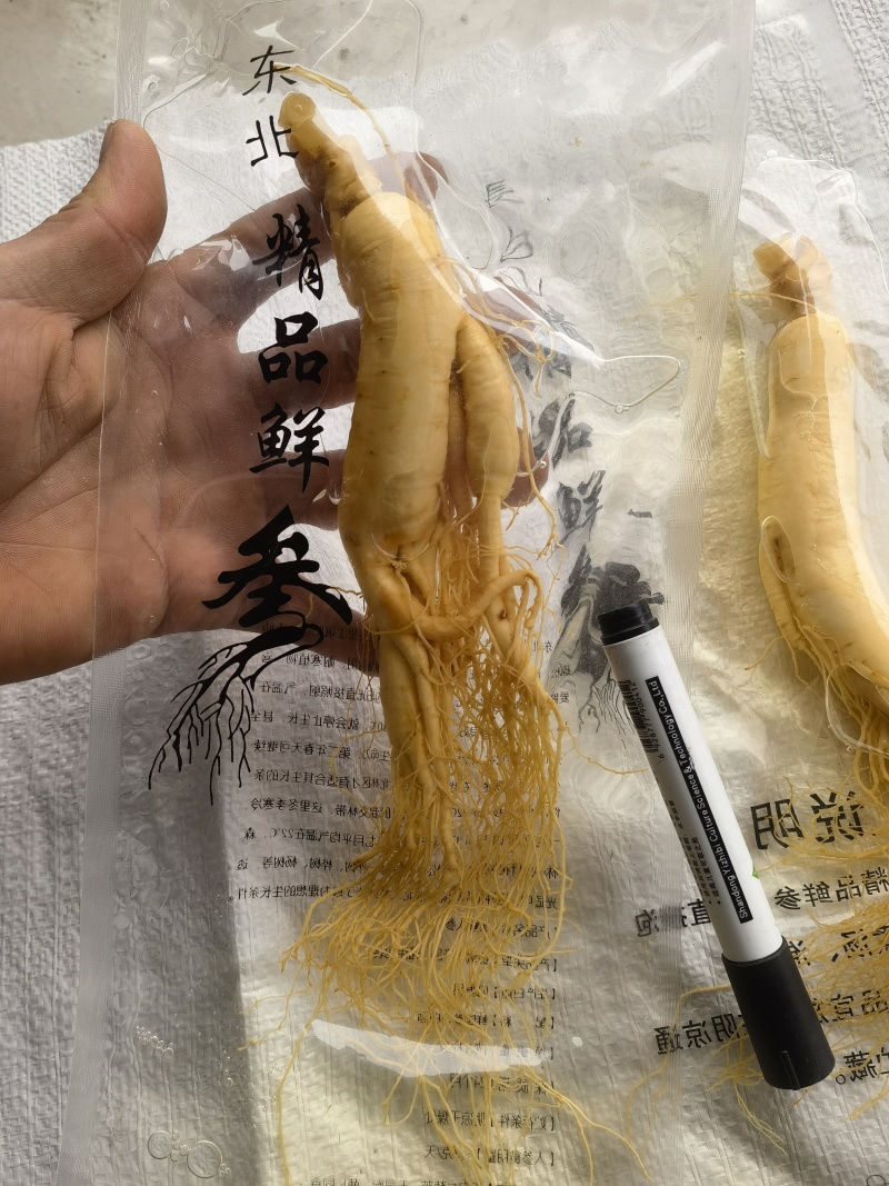 人参，鲜长白山人参，90克以上关书药业批发中药