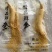 人参，鲜长白山人参，90克以上关书药业批发中药