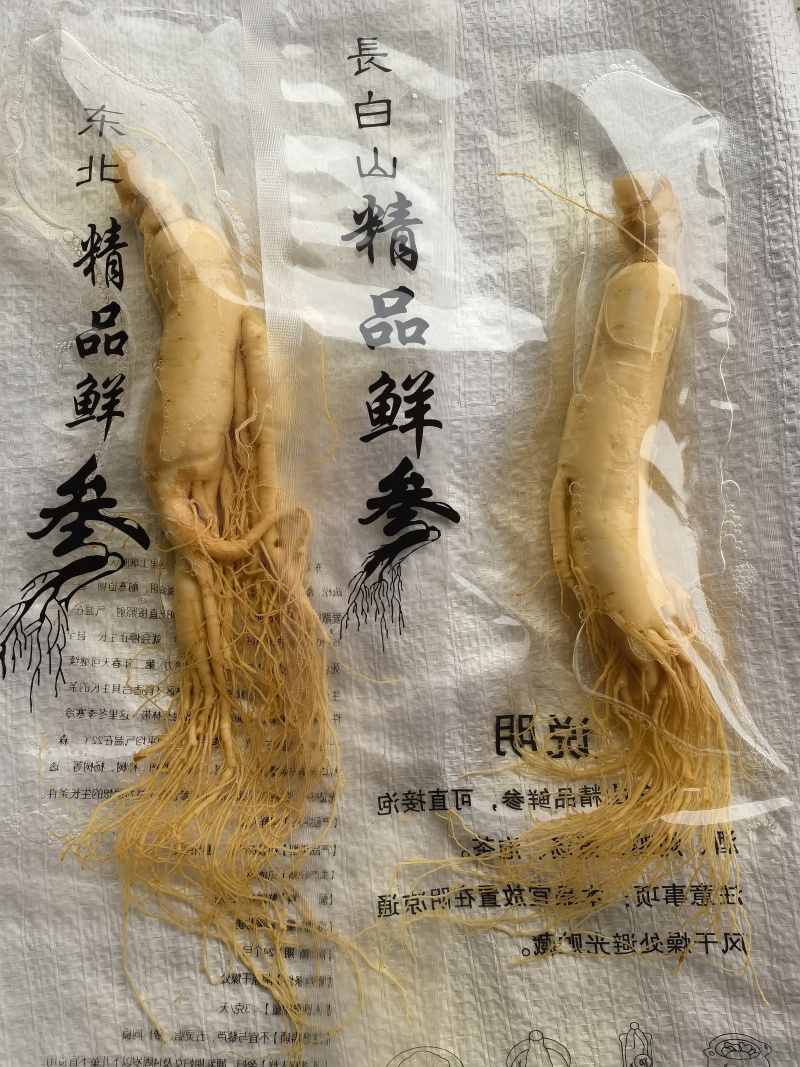 人参，鲜长白山人参，90克以上关书药业批发中药