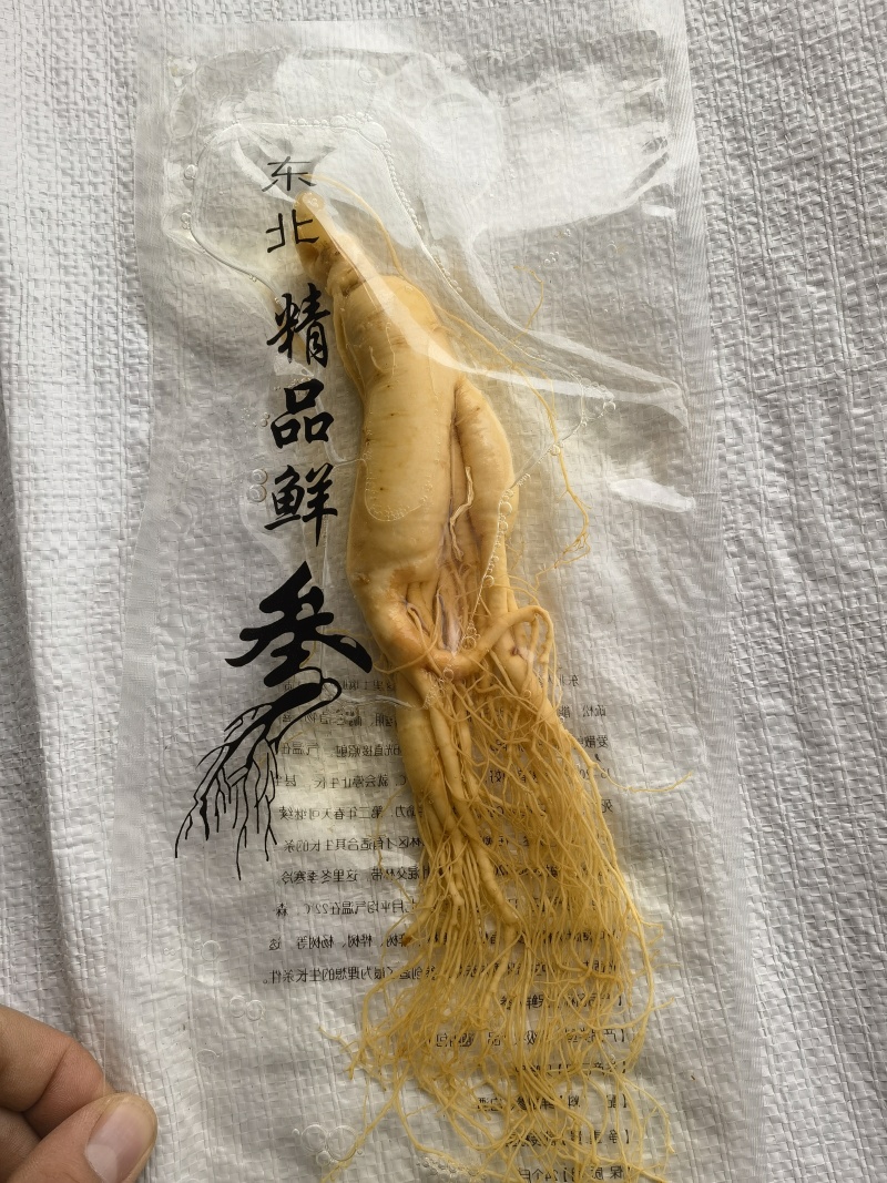 人参，鲜长白山人参，90克以上关书药业批发中药