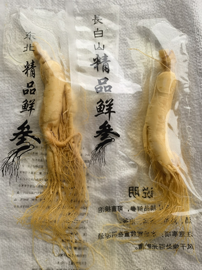 人参，鲜长白山人参，90克以上关书药业批发中药