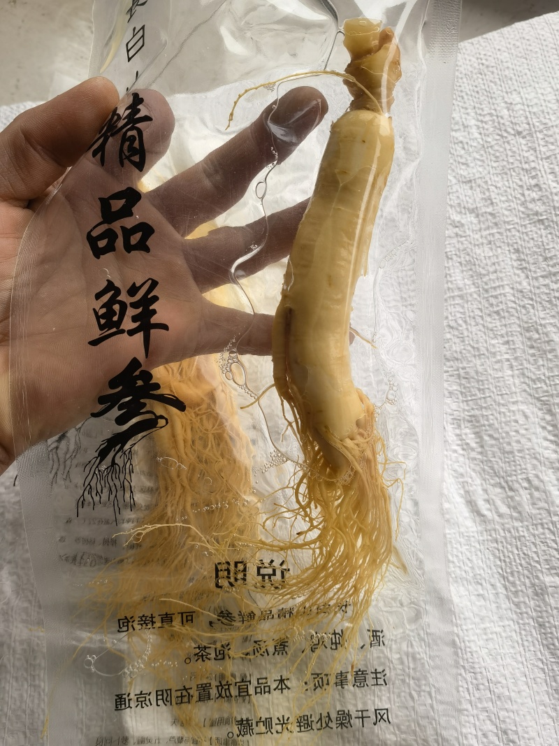 人参，鲜长白山人参，90克以上关书药业批发中药