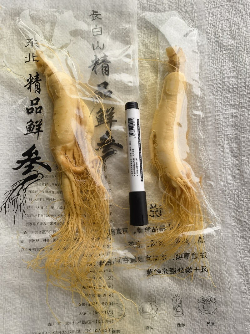 人参，鲜长白山人参，90克以上关书药业批发中药