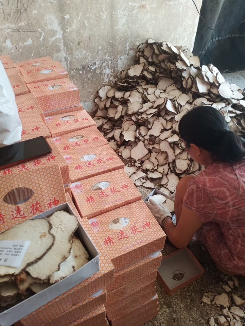 茯神白片统货厂家直发保质保量供货欢迎咨询可开发票