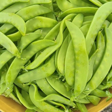 夹豆荷兰豆