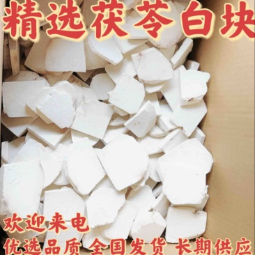正块茯苓白片，带皮茯苓片无硫大货过筛过药典可开发票