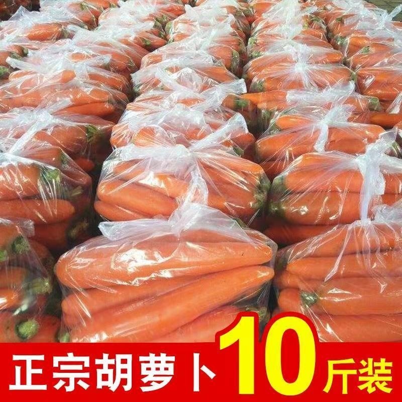 手指胡萝卜产地看货论价支持电商平台市场商超发货