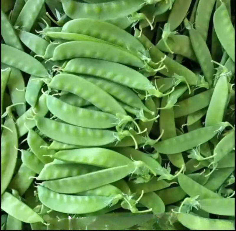 夹豆荷兰豆