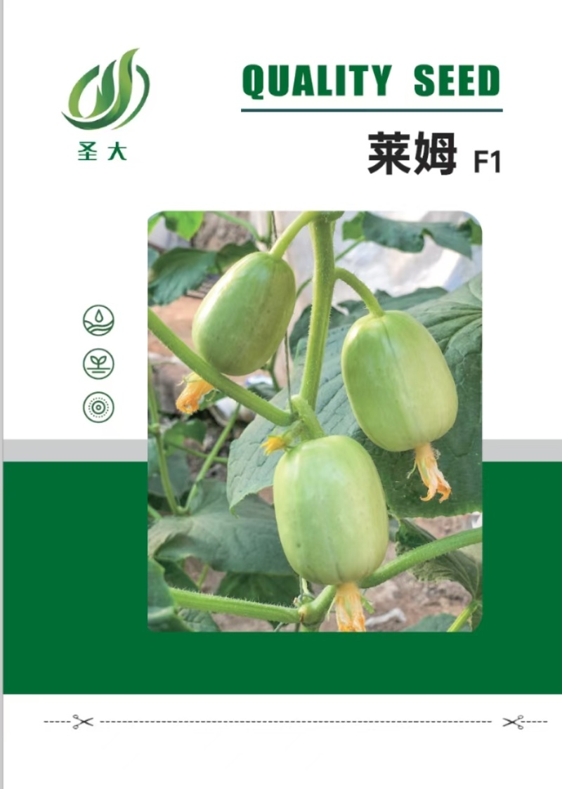莱姆玉女黄瓜种子水果黄瓜种子