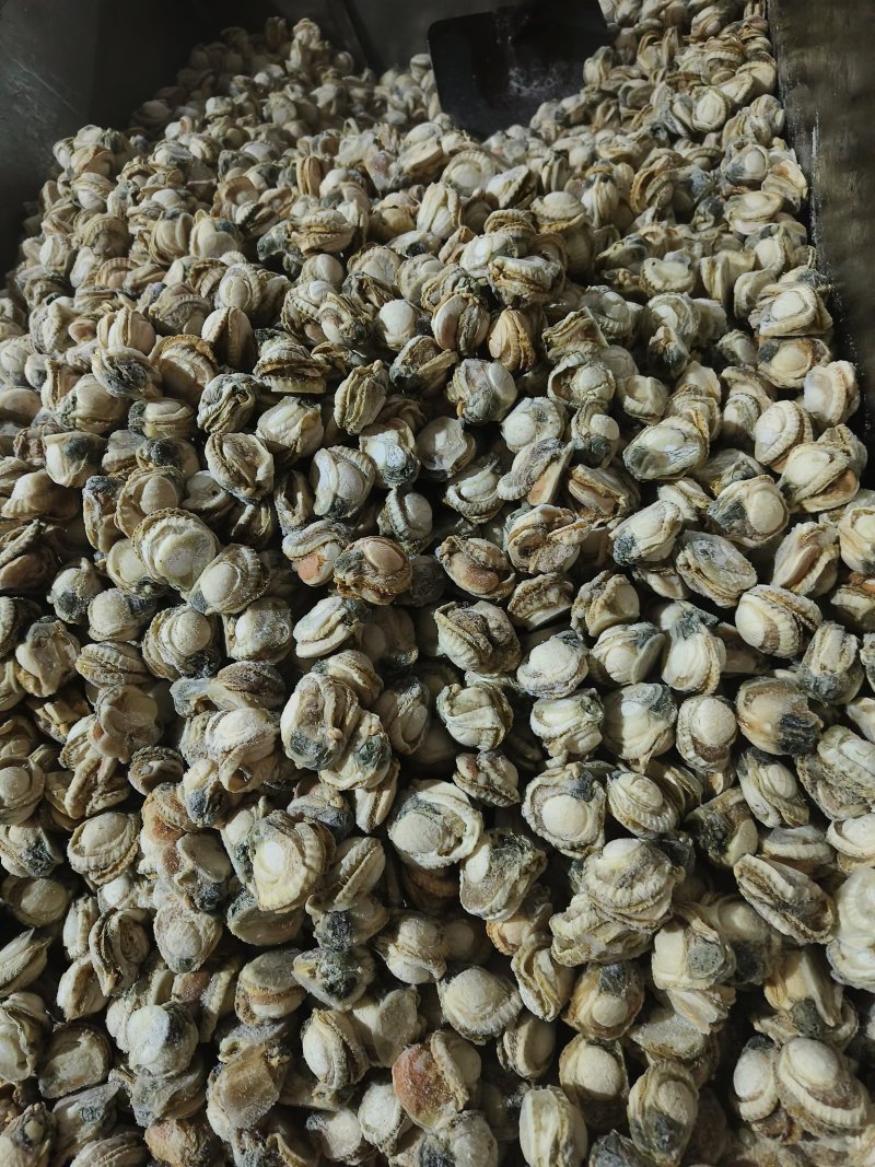 精品扇贝肉，规格齐全，货物新鲜。质量保证，价格优惠。