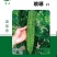 苦瓜种子绿亮苦瓜种子琅琊苦瓜种子