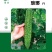 苦瓜种子绿亮苦瓜种子琅琊苦瓜种子