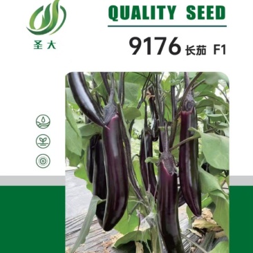 9176长茄种子紫萼片长茄种子蔬菜种子茄子种子口感软糯