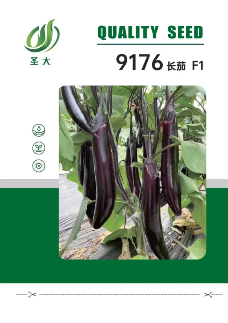 9176长茄种子紫萼片长茄种子蔬菜种子茄子种子口感软糯