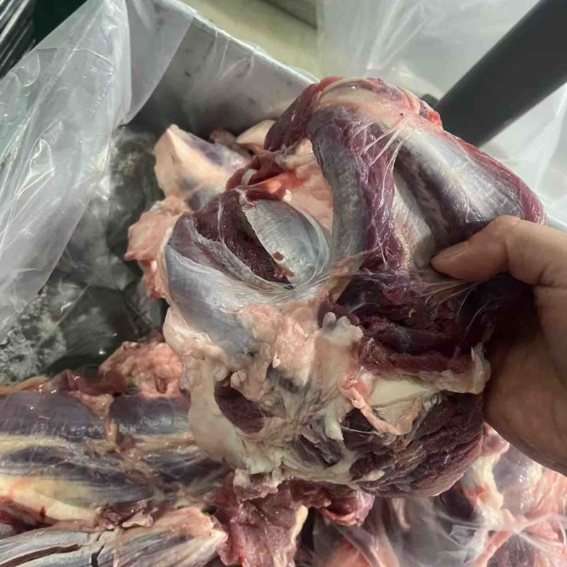 牛腱子.质量好