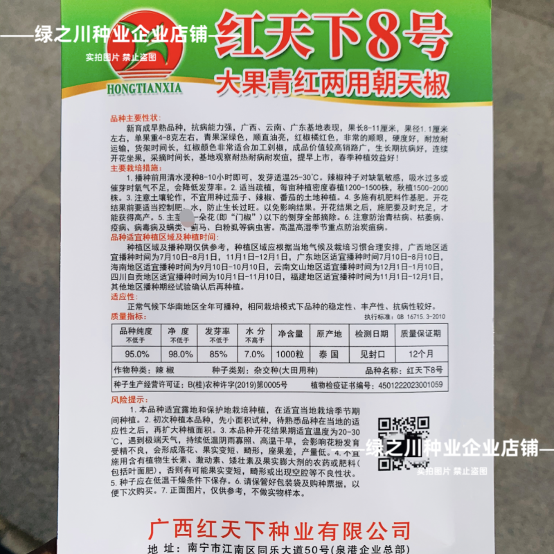 红天下8号辣椒种子大果高产青红两用朝天椒种子大号早熟顺直