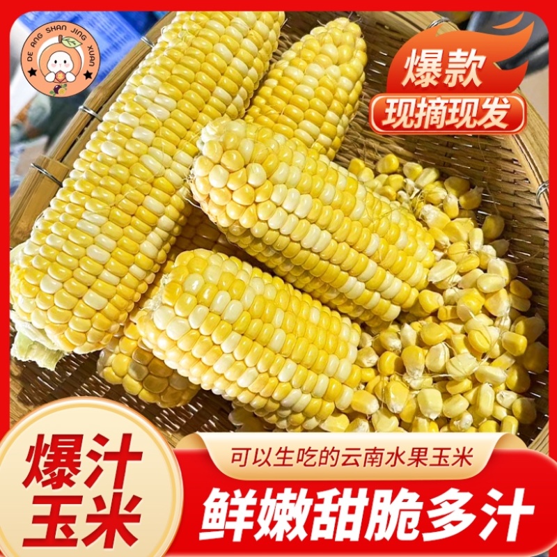 鲜食玉米云南水果玉米金银水果玉米甜玉米棒子双色玉米