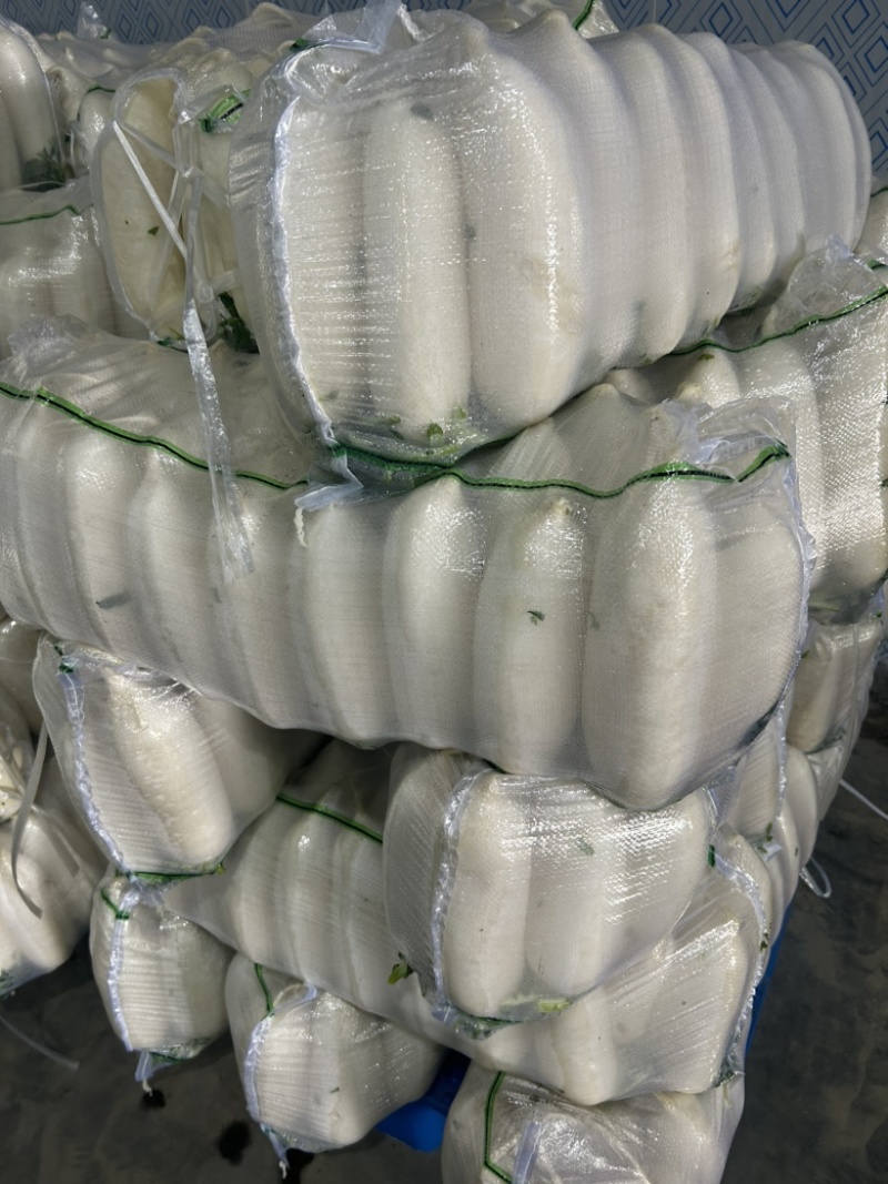 新鲜现拨现洗现卖白萝卜湖北基地直供大量出售白萝卜白萝卜