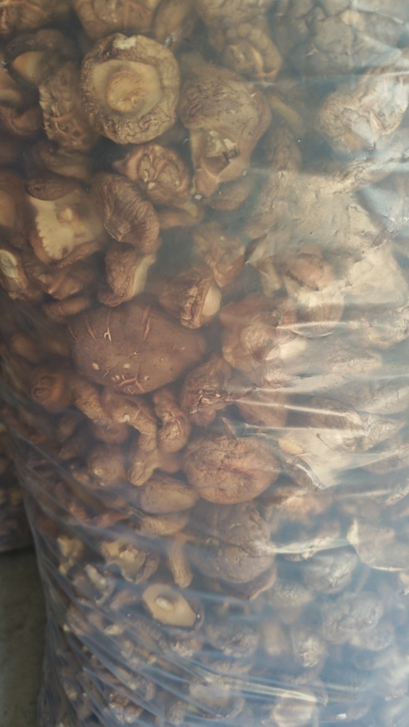 香菇干货基地直供，欢迎老板采购，