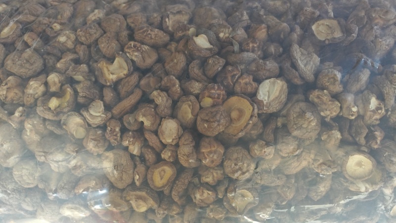 香菇干货基地直供，欢迎老板采购，