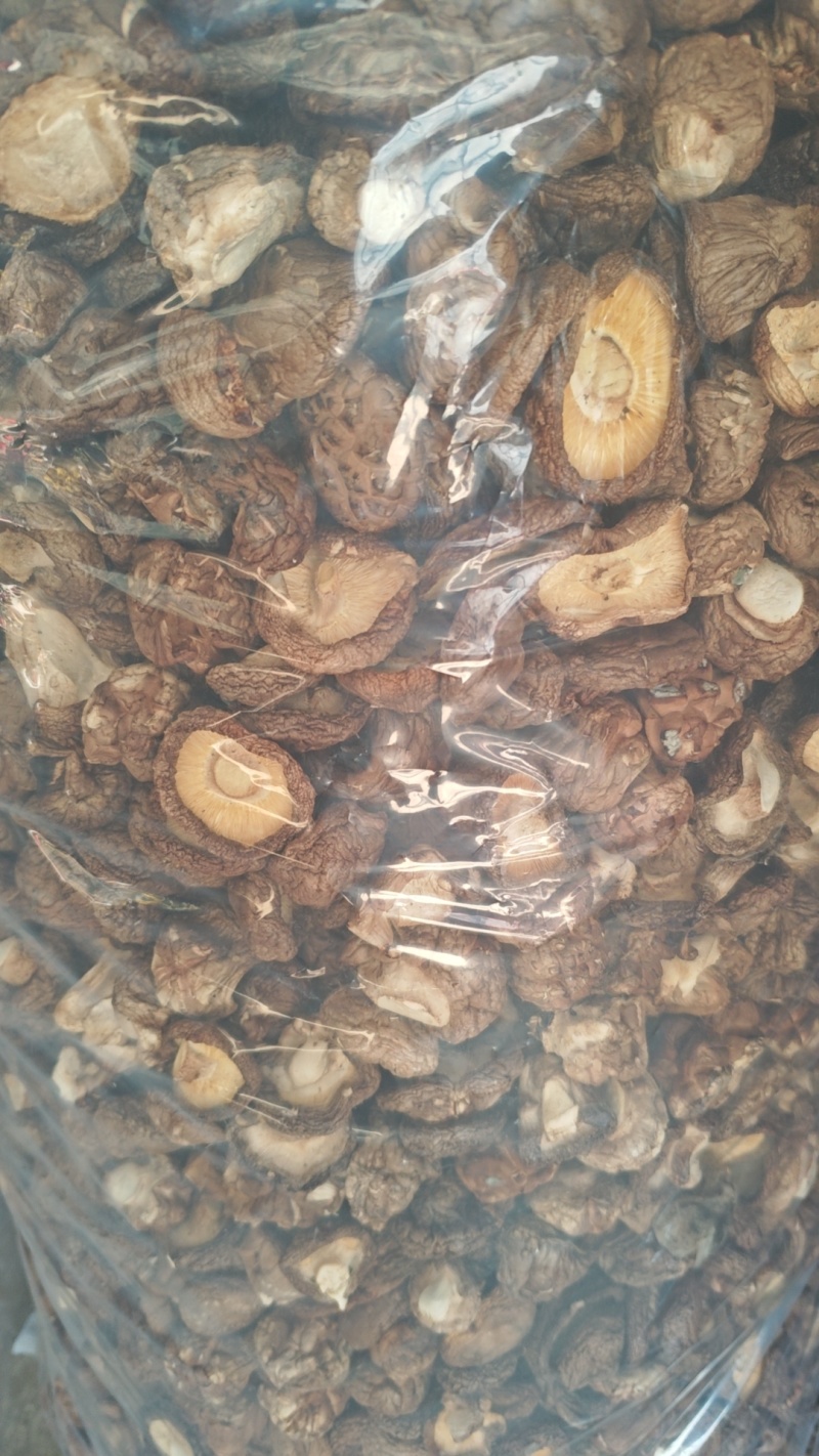 香菇干货基地直供，欢迎老板采购，