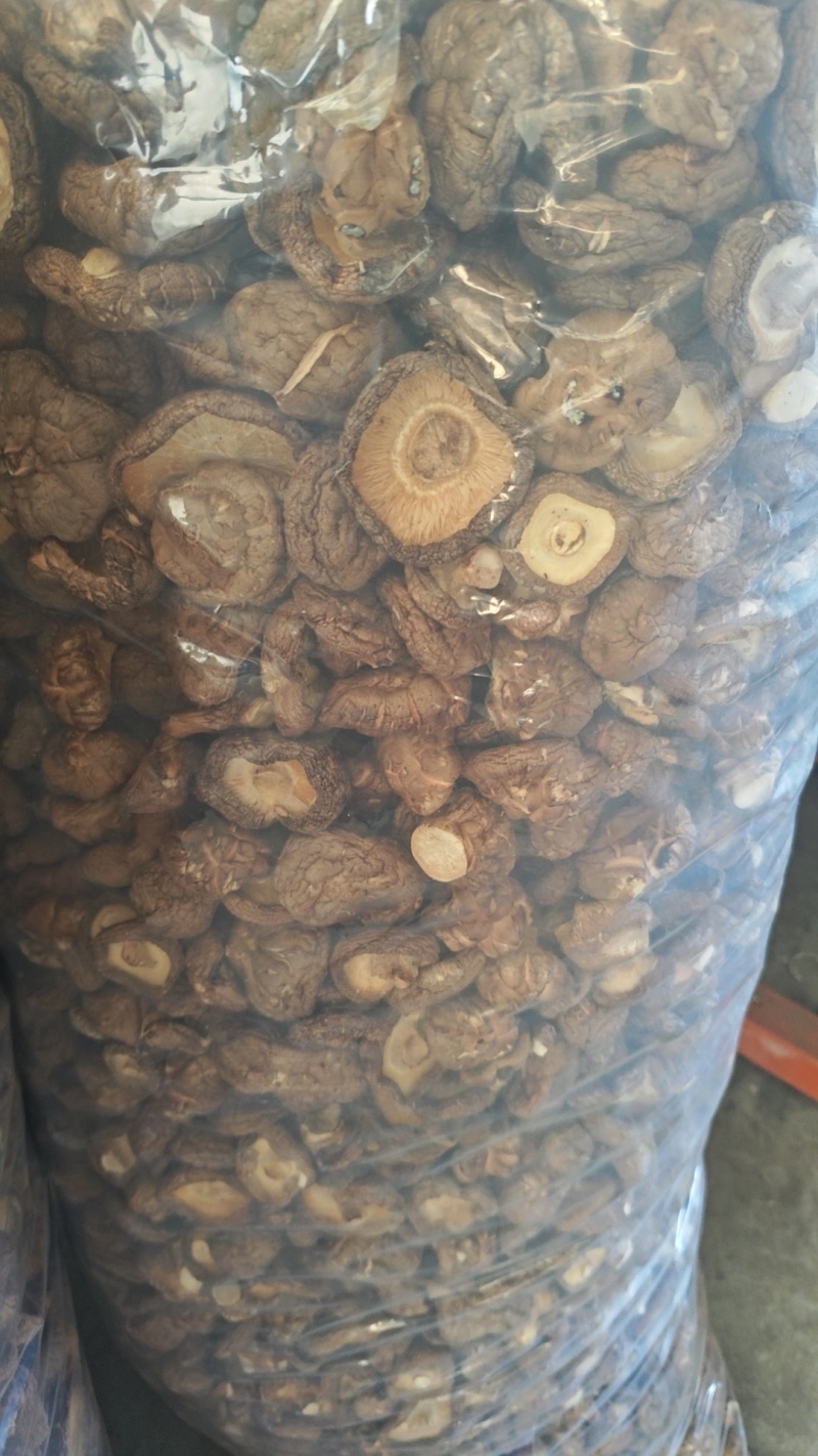 香菇干货基地直供，欢迎老板采购，