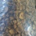 香菇干货基地直供，欢迎老板采购，