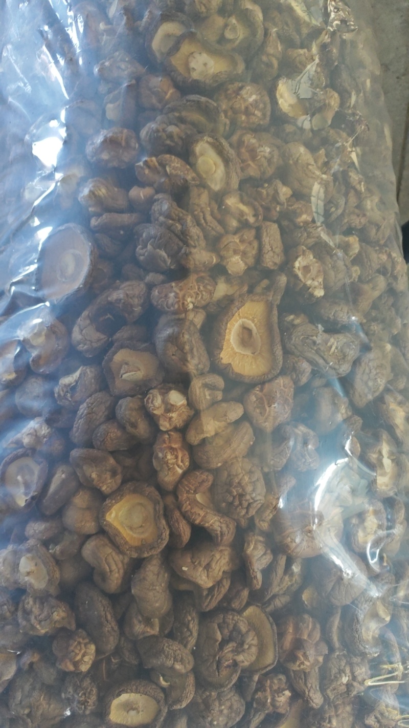 香菇干货基地直供，欢迎老板采购，