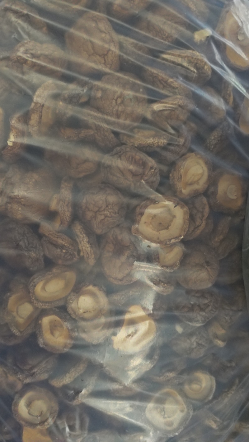 香菇干货基地直供，欢迎老板采购，