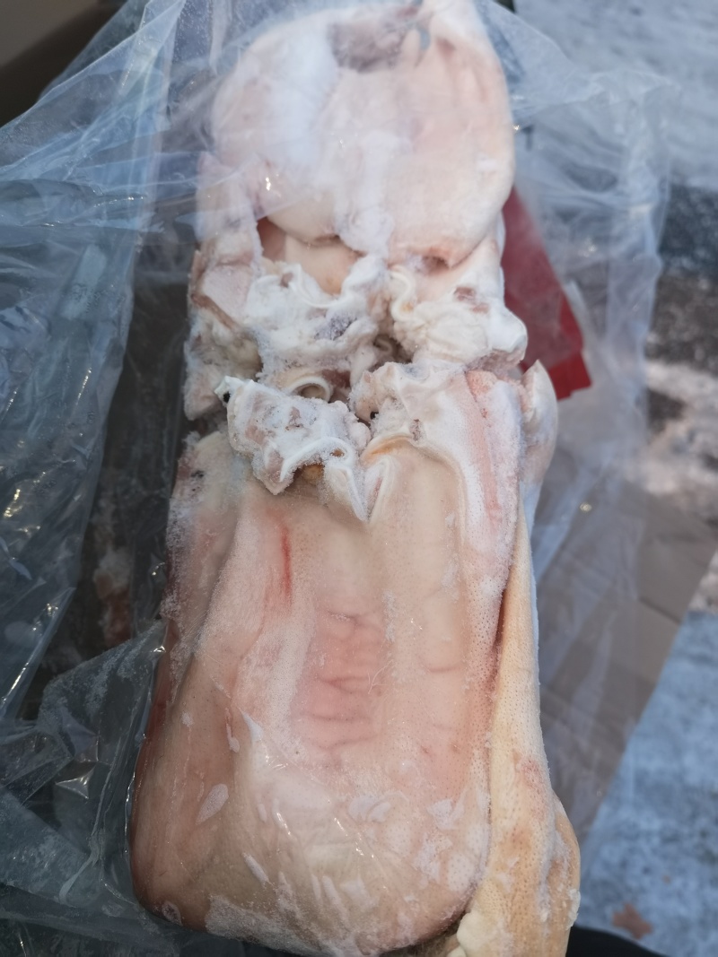 猪尾精品猪尾大量批发品质保障量大从优欢迎来电